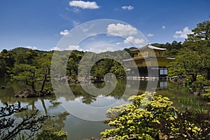 Kinkakuji temple. Golden Pavilion.  Kyoto Japan