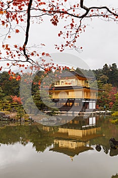 Kinkakuji temple, the goldern pavilion, Kyoto, Japan