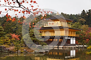 Kinkakuji temple, the goldern pavilion, Kyoto, Japan