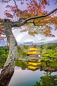 Kinkakuji Temple in Kyoto, Japan in Autumn