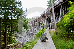 The Kinsol Trestle, also known as the Koksilah River Trestle photo