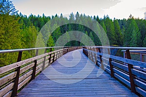 Kinsol Trestle railroad bridge in Vancouver Island, BC Canada.