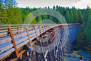 Kinsol Trestle railroad bridge in Vancouver Island, BC Canada. photo