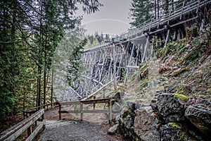 Kinsol Trestle of Shawnigan Lake Vancouver Island