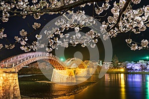 Kintai Bridge Illuminated at night. Cherry blossoms along the Nishiki River bank. Iwakuni, Yamaguchi Prefecture, Japan.