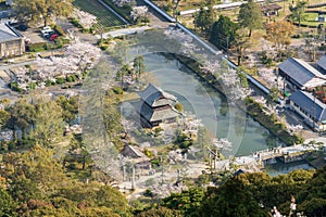 Kinunkaku Pavilion alongside the moat in Kikko Park. Cherry blossoms full blooming. Iwakuni, Yamaguchi, Japan.