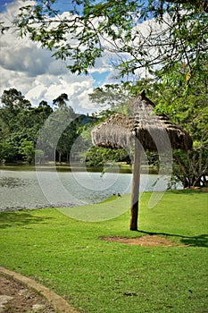 Kiosk covered with Imperata brasiliensis by the lake photo