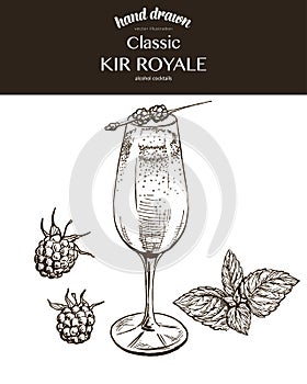 Kir Royale. Vector sketch illustration