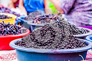 Kirgizstan market- Bluberries