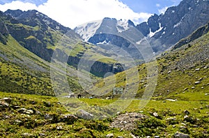 Kirgizstan - mountain and horses