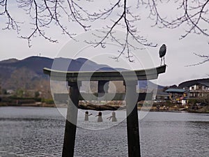 Kirin Lake,Yufuin,Fukuoka, Japan