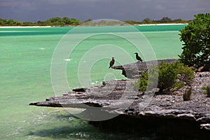 Kiritimati lagoon coastline