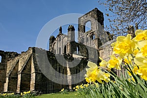 Kirkstall Abbey, North Yorkshire