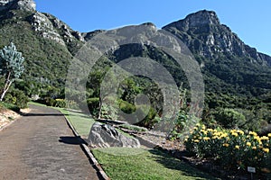 Kirstenbosch