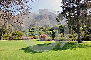 Kirstenbosch Botanical Garden