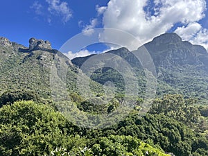 Kirstenbosch Botanical Garden Cape Town South Africa