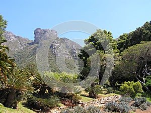 Kirstenbosch Botanical Garden, South Africa