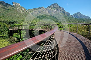 Kirstenbosch botanical gardens