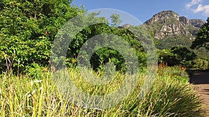 Kirstenbosch botanical gardens - Cape Town