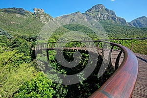 Kirstenbosch botanical gardens