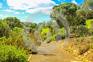 Kirstenbosch in Cape Town