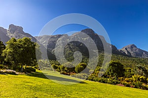 Kirstenbosch, Cape Town