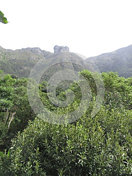 Kirstenbosch Castle Rock