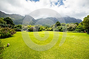 Kirstenbosch Gardens