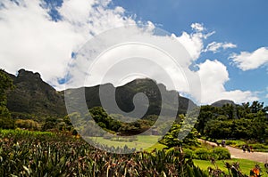 Kirstenbosch National Botanical Garden