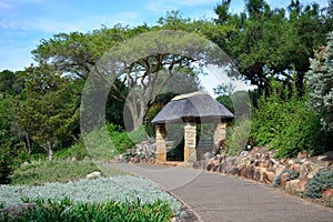 Kirstenbosch National Botanical Garden