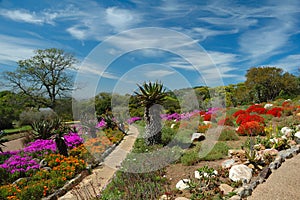 Kirstenbosch National Botanical Garden