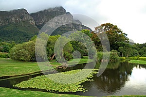 Kirstenbosch National Botanical Garden