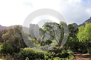 Kirstenbosch National Botanical Garden in Cape Town