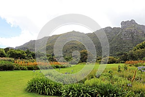 Kirstenbosch National Botanical Garden in Cape Town