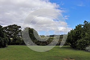 Kirstenbosch National Botanical Garden in Cape Town