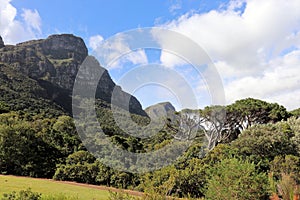 Kirstenbosch National Botanical Garden in Cape Town