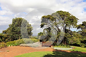 Kirstenbosch National Botanical Garden in Cape Town