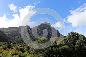 Kirstenbosch National Botanical Garden in Cape Town