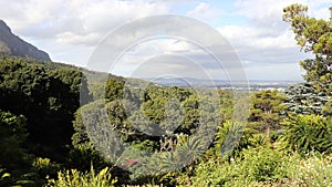 Kirstenbosch National Botanical Garden in Cape Town