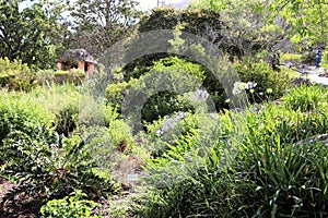 Kirstenbosch National Botanical Garden in Cape Town