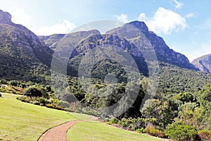 Kirstenbosch National Botanical Garden in Cape Town