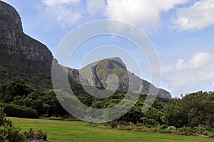 Kirstenbosch National Botanical Garden in Cape Town