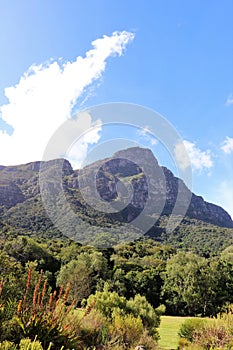 Kirstenbosch National Botanical Garden in Cape Town