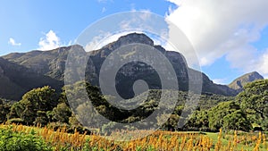 Kirstenbosch National Botanical Garden in Cape Town