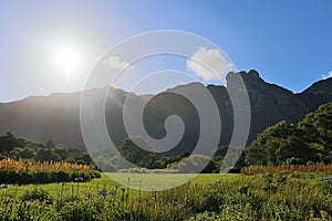 Kirstenbosch National Botanical Garden in Cape Town