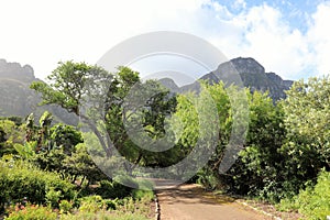 Kirstenbosch National Botanical Garden in Cape Town