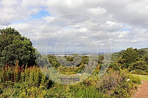 Kirstenbosch National Botanical Garden in Cape Town