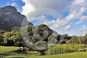 Kirstenbosch National Botanical Garden in Cape Town