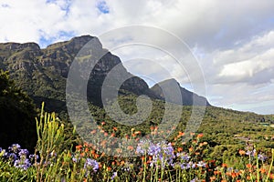 Kirstenbosch National Botanical Garden in Cape Town