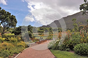 Kirstenbosch National Botanical Garden in Cape Town